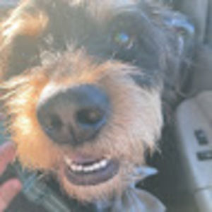 Meet your Posher, Holley